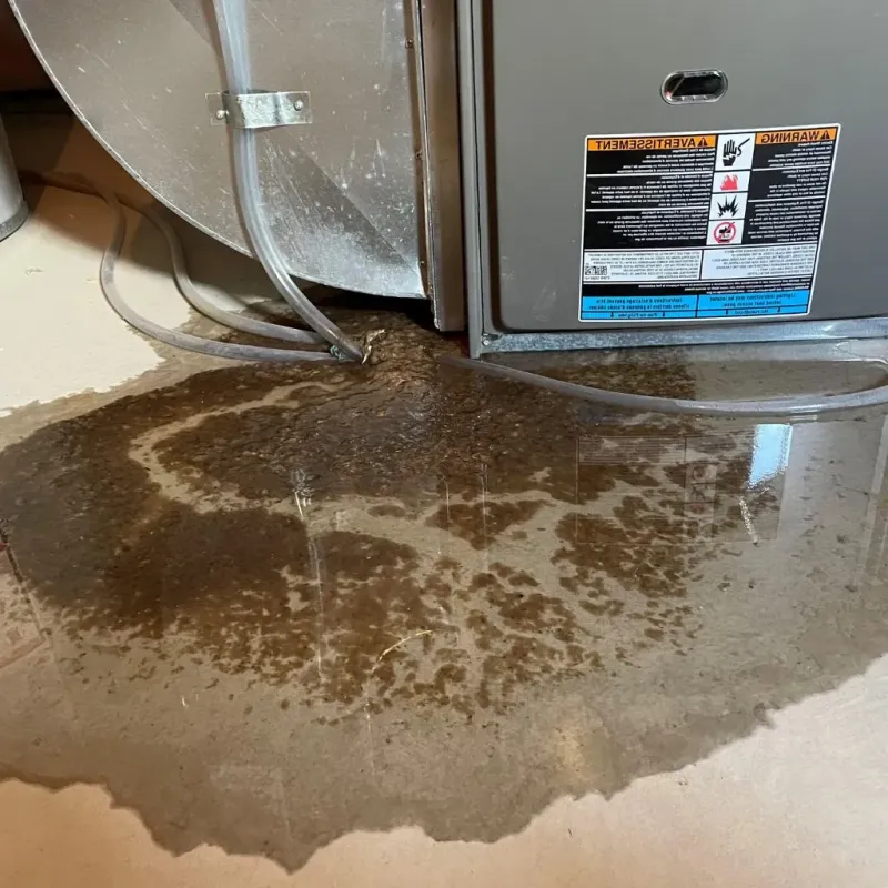 Pipe Burst and Leak Restoration in Clinton County, KY